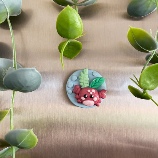 Ocean Crab Magnet
