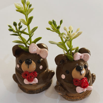 Love Bear Planter