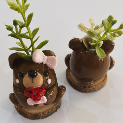 Love Bear Planter