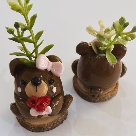 Love Bear Planter